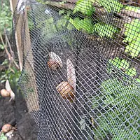 Сітка для равликових ферм Elix Pro TENAX, 1*100 м (2 кишені), сітка для вирощування равликів