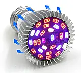 Фітолампа для росту рослин 8 Вт зі стандартним цоколем Е27, 28 LED повного спектра, фото 2