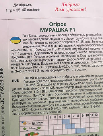 Огірок Мурашка F1 10шт, фото 3