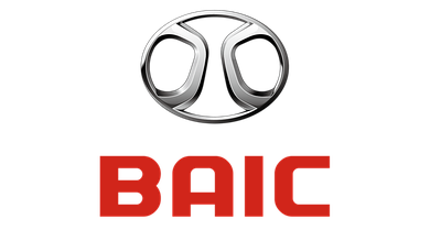 Автомобільні килимки для Baic
