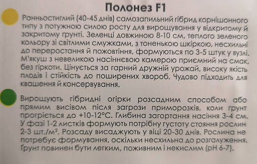Огірок Полонез F1 10шт, фото 2