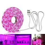 Фітострічка світлодіодна 2 м для росту рослин 120 LED USB 5 В з вимикачем, водонепроникна, фото 2