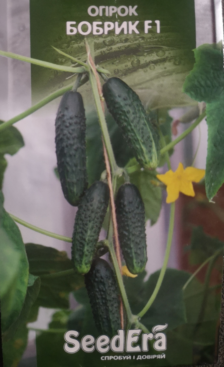 Огірок Бобрик F1 10шт