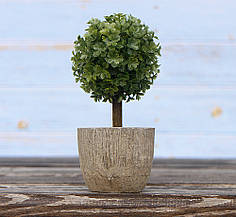 Самшит-куля на стовбурі в горщику малий полістоун h14см Гранд Презент 3331200-3 шар П.