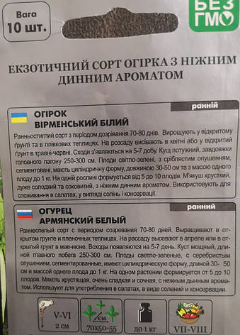 Огірок Вірменський білий 10шт, фото 3