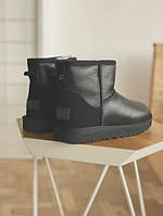 Уггі жіночі Ugg Mini Leather