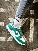 Зелені кросівки чоловічі Nike SB Dunk Team/Green
