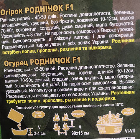 Огірок Роднічок F1 3г, фото 2