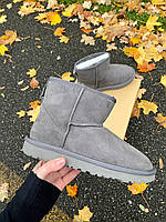 Сірі Замшеві жіночі Уггі UGG CLASSIC