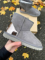 Сірі Замшеві жіночі Уггі UGG CLASSIC