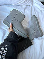 Сірі Замшеві жіночі Уггі UGG CLASSIC