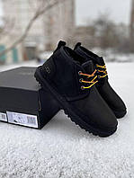 Замшеві чорні жіночі Уггі на шнурках UGG