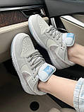 Сірі шкіряні жіночі кросівки Nike SB Dunk White Lobster, фото 4