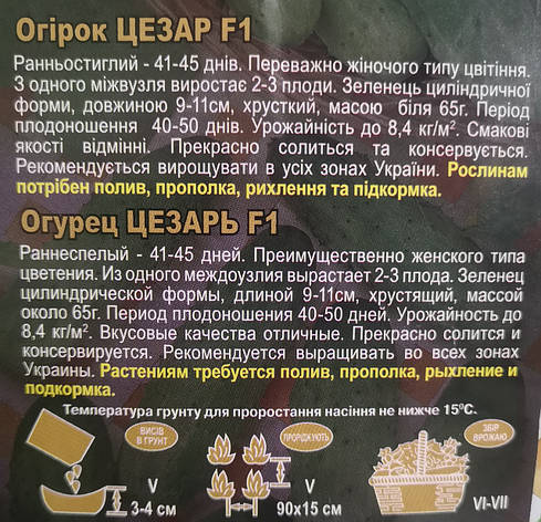 Огірок Цезар 3г, фото 3