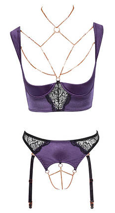 Еротичний комплект Abierta Fina Shelf Bra and Crotchless Suspender Briefs, фото 3