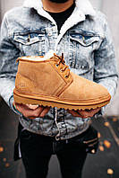 Руді замшеві чоловічі Уггі UGG Neumel Chestnut рижі