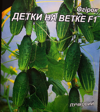 Огірок Дєтки на Ветке F1 3г, фото 1