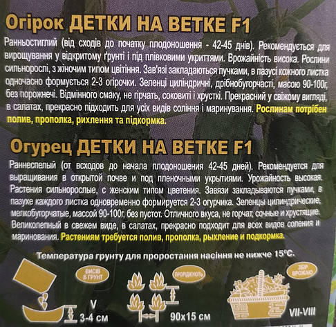 Огірок Дєтки на Ветке F1 3г, фото 3