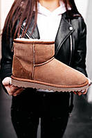 Коричневі замшеві чоловічі Уггі Ugg Classic Mini Chestnut