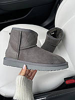 Сірі замшеві жіночі Уггі UGG MINI BAILEY BOW II GREY