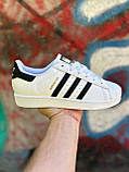Білі шкіряні чоловічі кросівки Adidas Superstar, фото 3