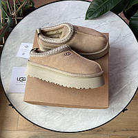 Зимові бежеві замшеві жіночі Уггі шльопки Ugg Tasman Platform на платформі натуральне хутро