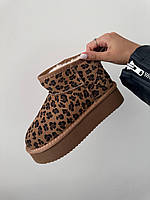 Зимові коричневі жіночі замшеві Уггі UGG Ultra Mini Platform на хутрі Леопардові черевики УГГ