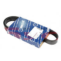 Ремень генератора Peugeot Partner 10-/Citroen Berlingo 05- 1.6 HDI (6PK976)