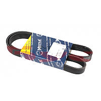 Ремень генератора Opel Movano/Renault Master/Kangoo 1.9dCi/dTi 98-/Trafic 2.0 06- (6PK1125)