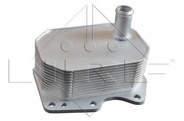 Радіатор масла FORD TRANSIT 2.2D/2.4D 04.06-