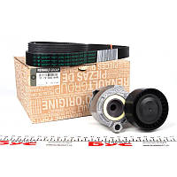 Комплект реміню генератора Kangoo 1.5dCi 01-/1.6 16V 08-