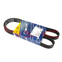 Ремень генератора Ford Escort 1.8TD 95-00 (5PK1145)