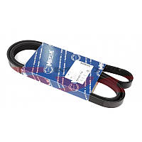 Ремень генератора Renault Kangoo 1.4/1.6i, 97- (5PK1750)