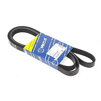 Ремень генератора BMW 3 (E36) 1.8TDS 95-00 (5PK1885)