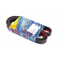 Ремень генератора Citroen Berlingo 1.6HDI 08- (6PK1360)