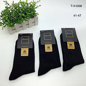 Шкарпетки чоловічі (10пар) Оптом р.41-47 "Гідні" Фенна T-A1008