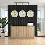 Декоративна стінова рейка антрацит 3000*160*23мм (D) SW-00001532, фото 7