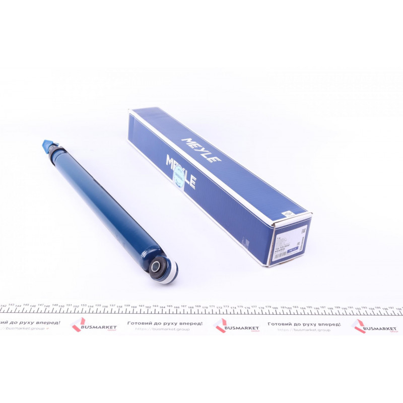 Амортизатор (задний) Ford C-max/Focus 10-, фото 1