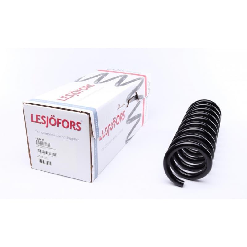 Пружина (задня) MB E-class (W210) 95-02 (Classic/Elegance) (сідан) (без с-ми реб.дор.пит.), фото 1