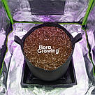 Grow Bag 10 л Стандарт — Тканинний горщик для рослин 24х23 см / GrowBag, фото 3