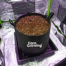 Grow Bag 10 л Стандарт — Тканинний горщик для рослин 24х23 см / GrowBag, фото 4