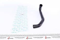 Патрубок системи охолодження MERCEDES-BENZ C-CLASS (W202) CLK (C208) E-CLASS (W210)