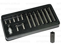 Набір біт 15ін. TORX з поглибленням KingRoy 31564 corvette