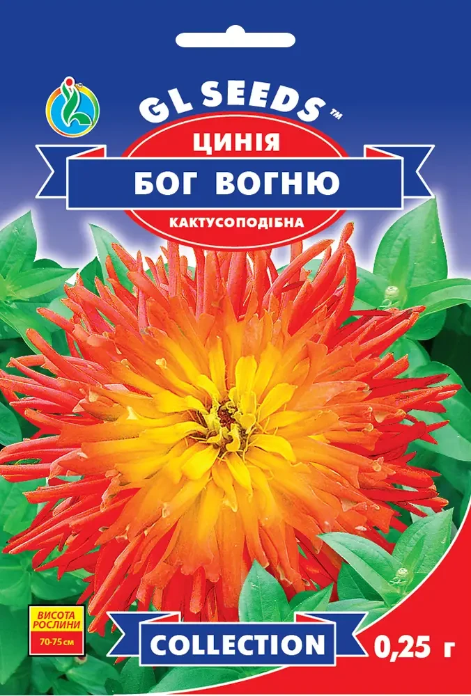 Цинiя Бог Вогню (0.25г), Collection, TM GL Seeds