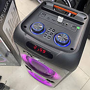 Колонка Bluetooth TTD-2809 20Вт з караоке мікрофоном та пультом управління та підсвічуванням, фото 8