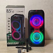 Колонка Bluetooth TTD-2809 20Вт з караоке мікрофоном та пультом управління та підсвічуванням, фото 6