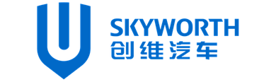Автомобільні килимки для Skyworth