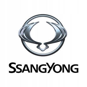 Автомобільні килимки для SsangYong