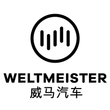 Автомобільні килимки для Weltmeister