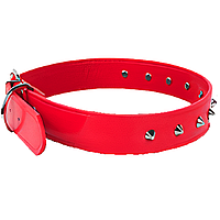 Нашийник для собак середніх і великих порід із шипами 2 см *45 см розмір S